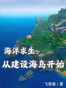 海洋求生:从建设海岛开始